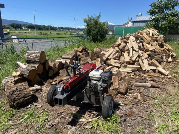 IMG_4517-scaled-e1753944185878